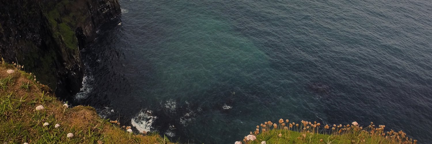 bexdougherty's profile banner image