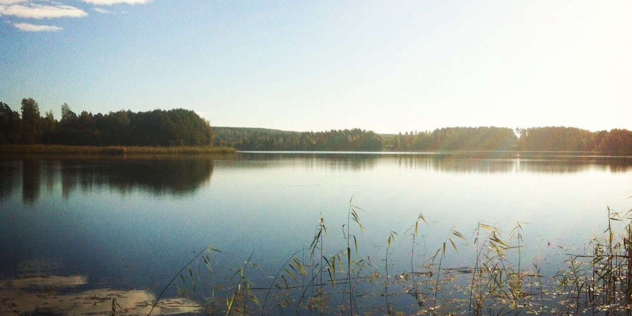 Sandinskan's profile banner image