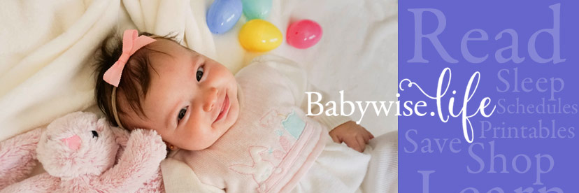 BabywiseLife's profile banner image