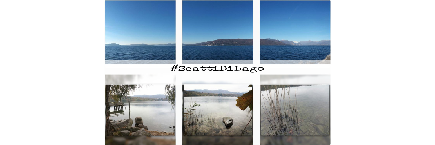 scattidilago's profile banner image