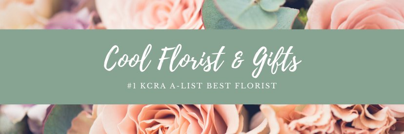 CoolFlorist's profile banner image