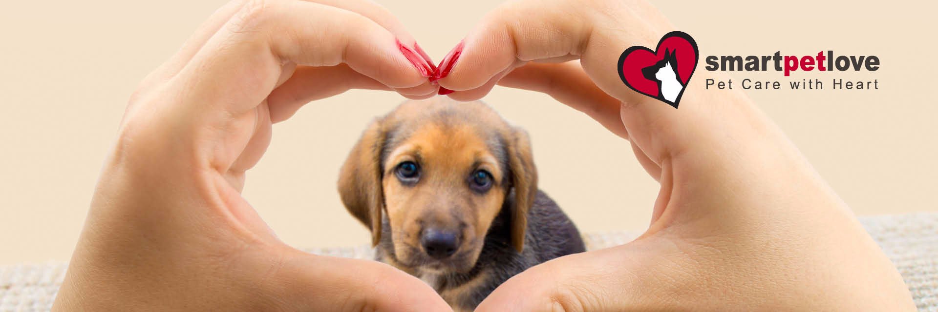 smartpetlove's profile banner image