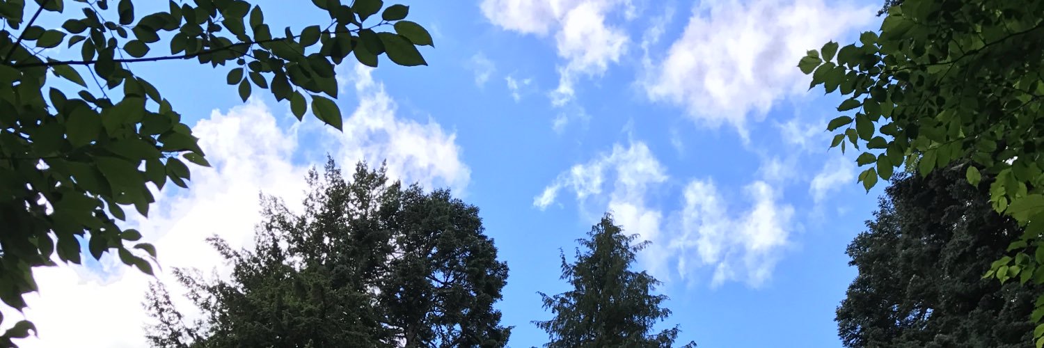 Adam Costanza banner