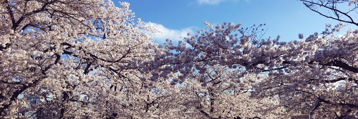 BeccaaGeee's profile banner image