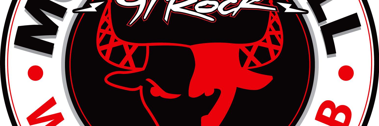 Morning Bull banner