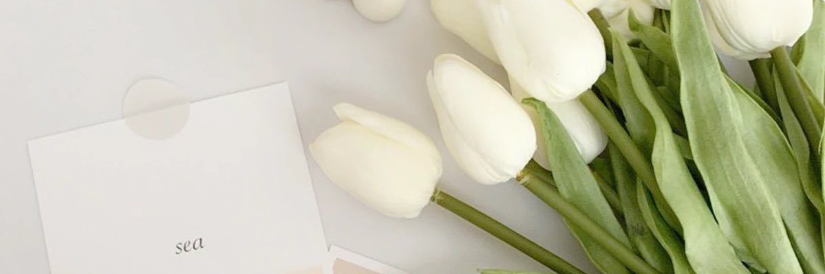 chan383's profile banner image