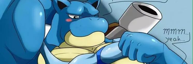e621Blastoise's profile banner image
