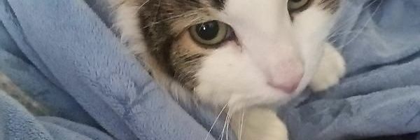 vvvvvvrd's profile banner image