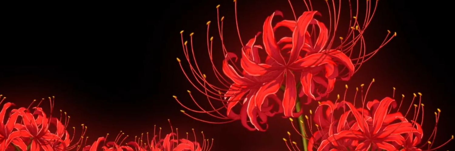 nocbe's profile banner image