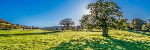 CCGAM71 Profile Banner