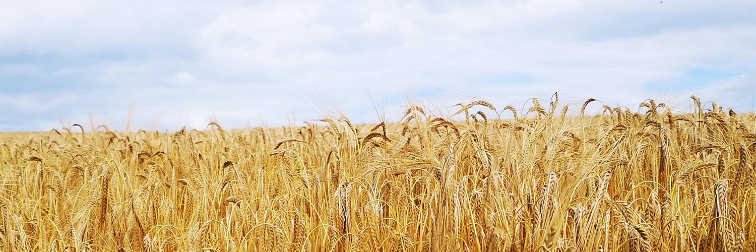 Cefetra Grain banner