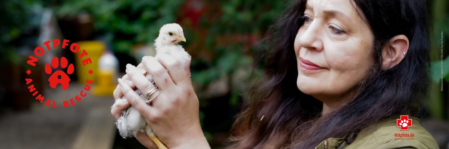 Notpfote Animal Rescue e.V. banner