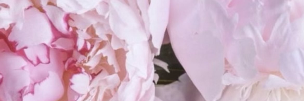 Kassandraagc's profile banner image