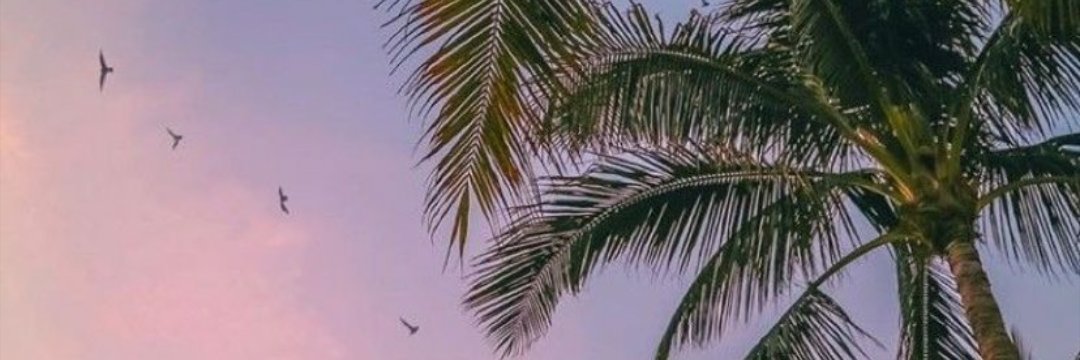VanesaCG8's profile banner image