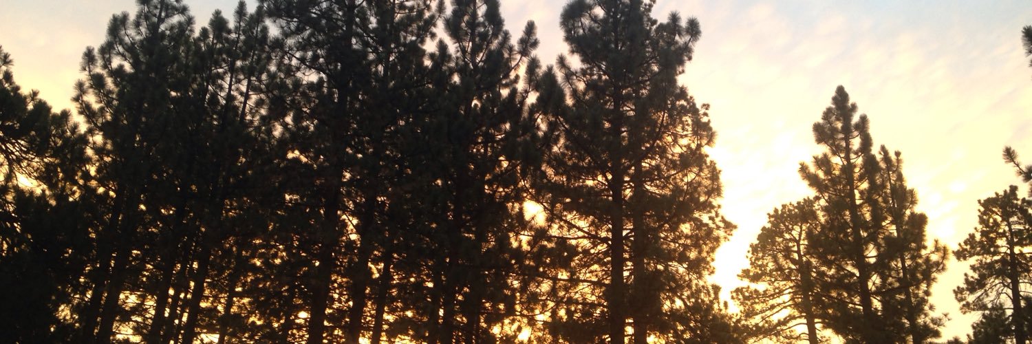 Shredxhead's profile banner image
