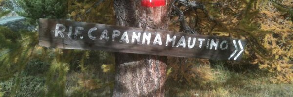 divagatrice Profile Banner