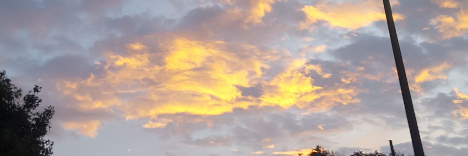 ANAMARIANAVASMA's profile banner image