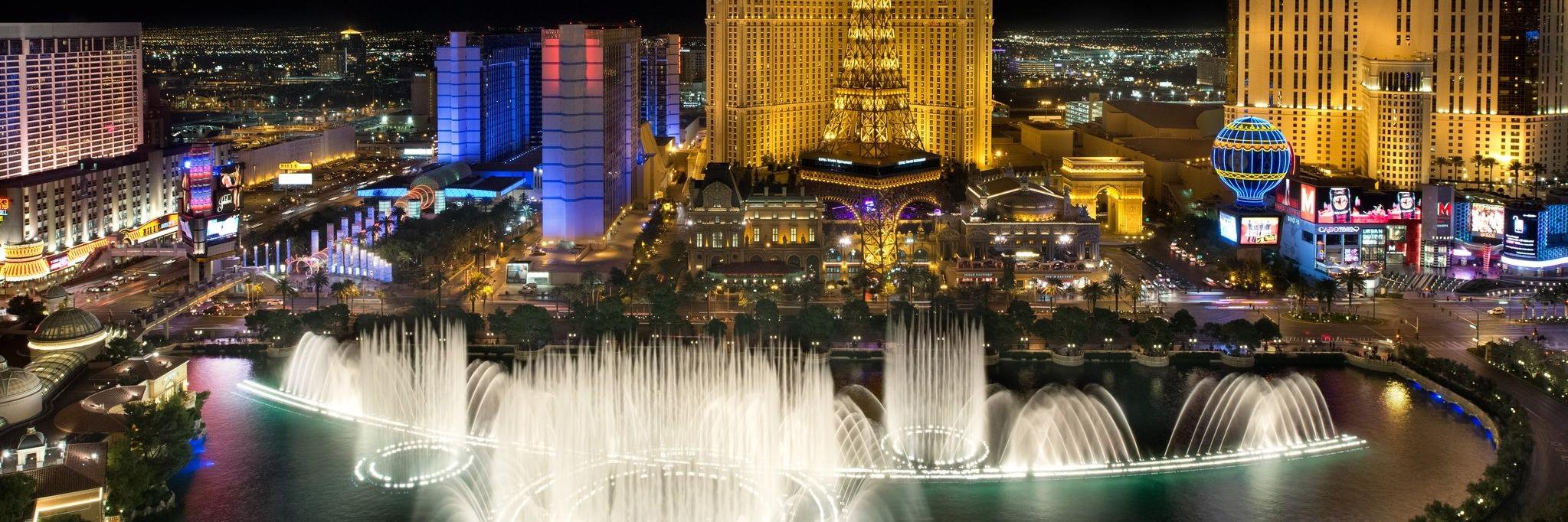 hollyletual's profile banner image