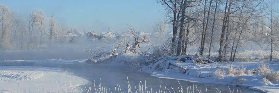 DeerRunCalgary's profile banner image