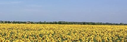 _breitenbach's profile banner image