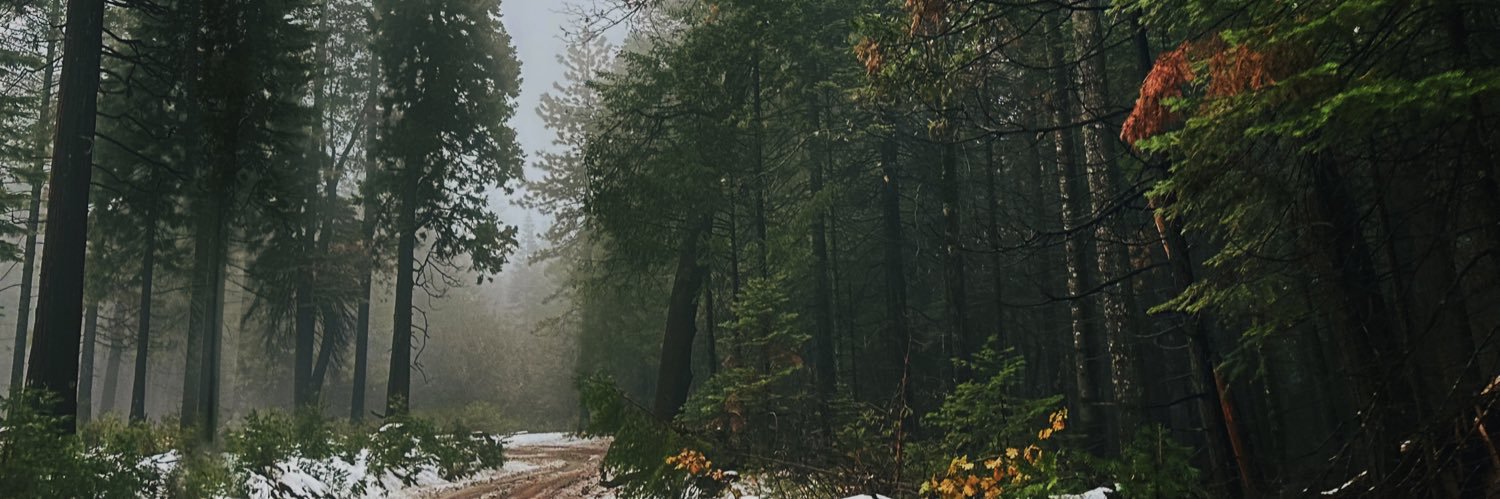maddilungu's profile banner image