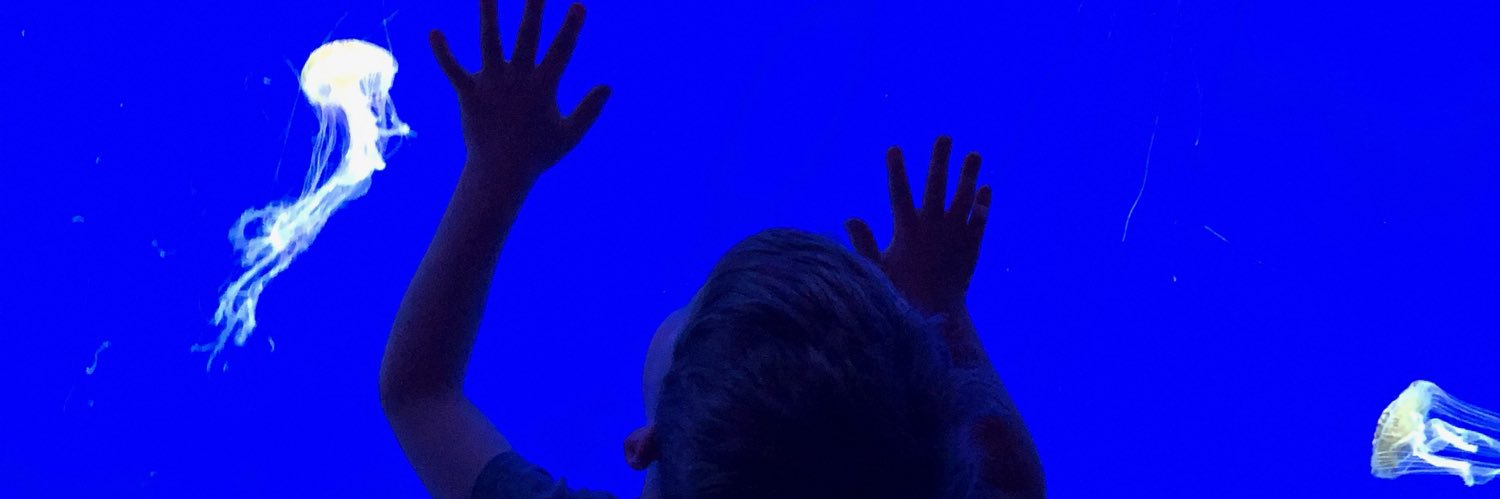 MDouglas47's profile banner image