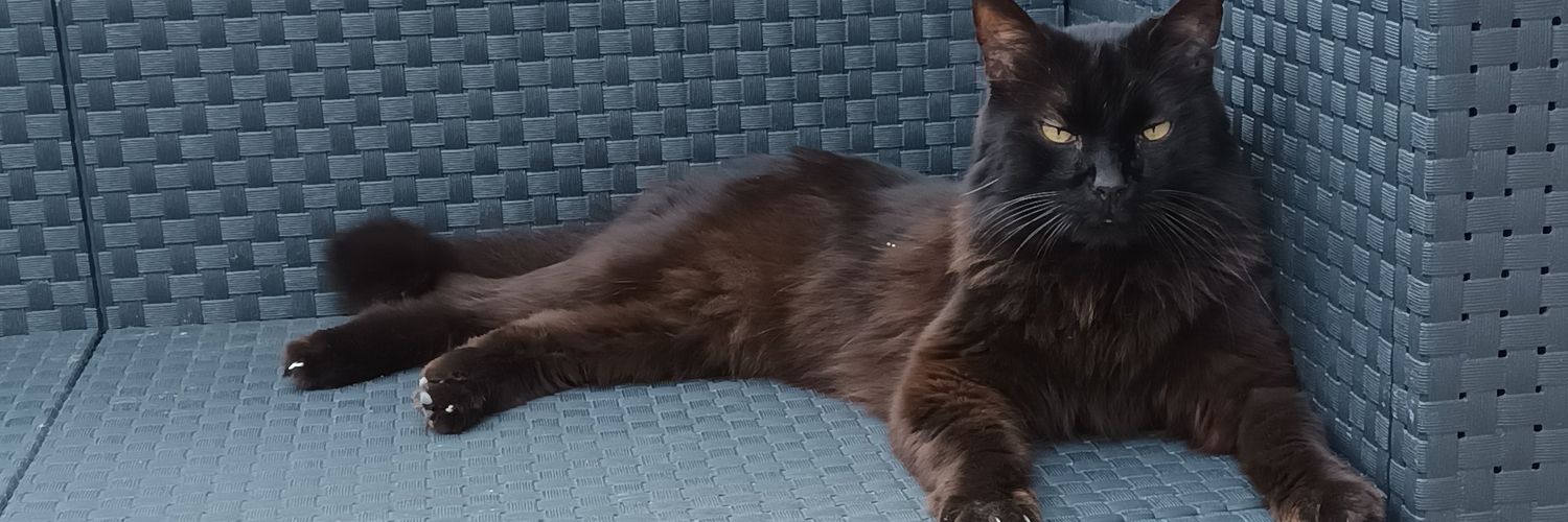 𝚛𝚘𝚘𝚝# _ banner