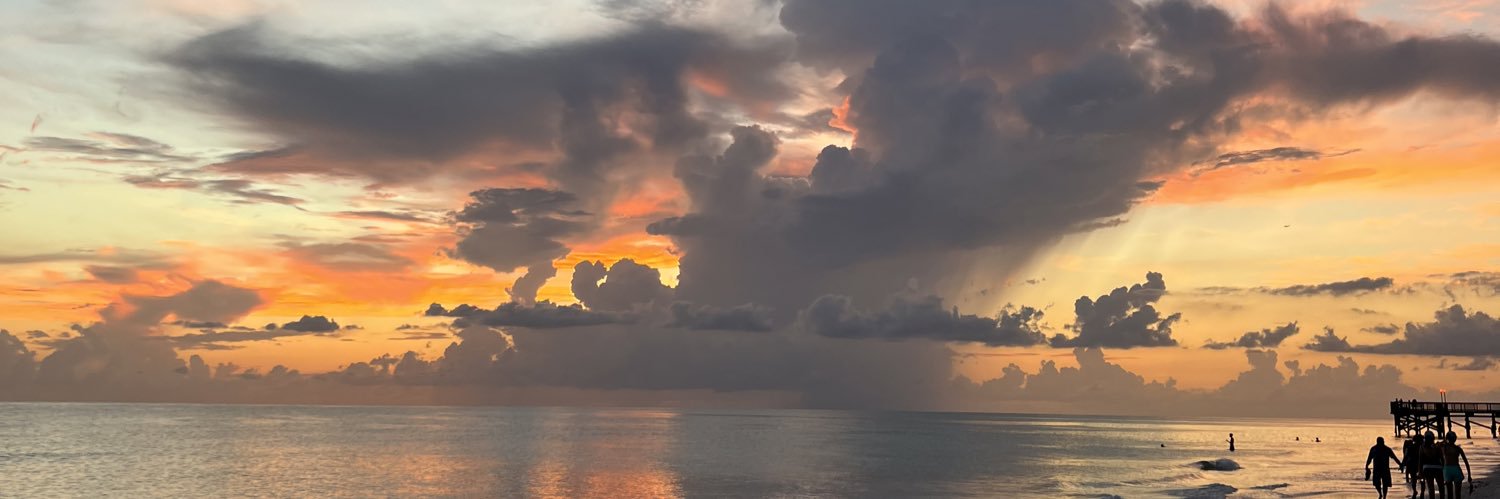 dailynp_'s profile banner image