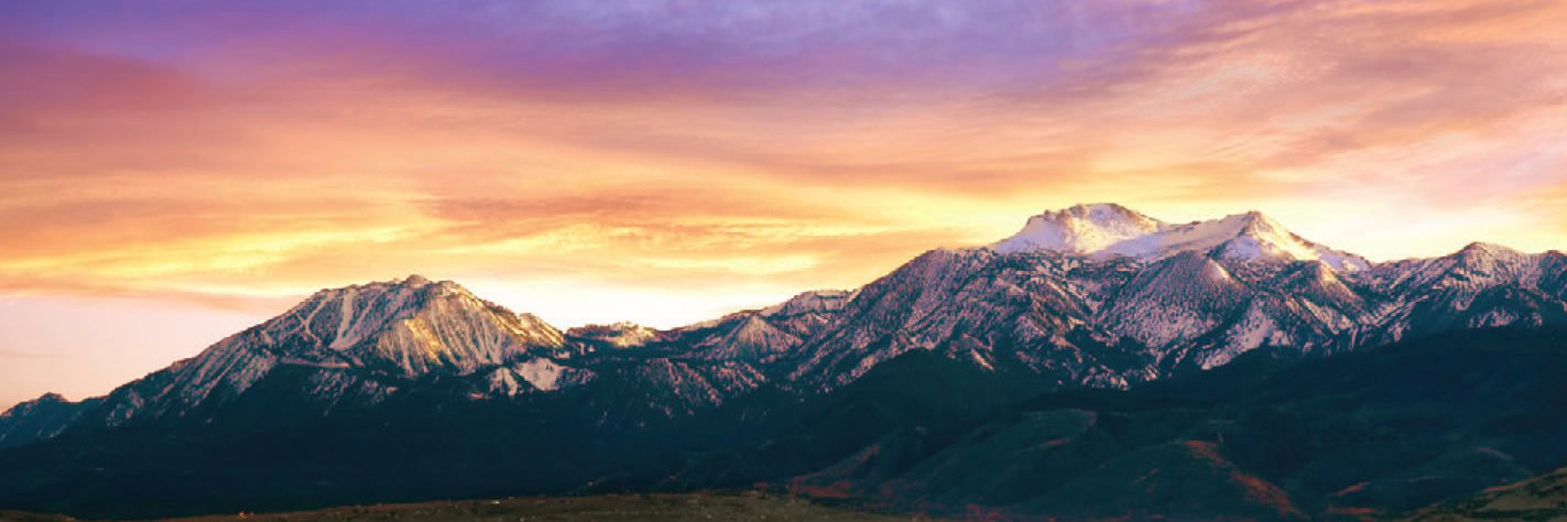 AngelaBeard1's profile banner image