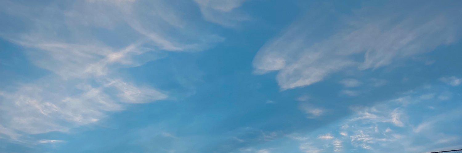 dani. banner