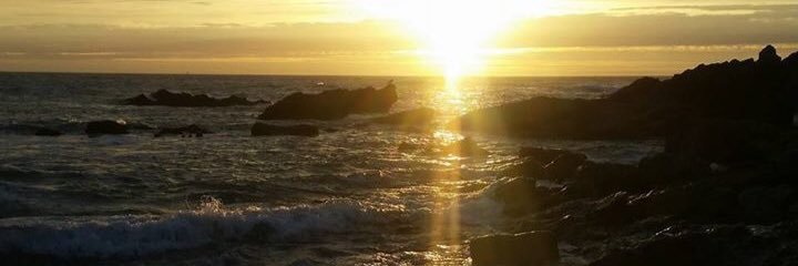 Lucillecox21's profile banner image