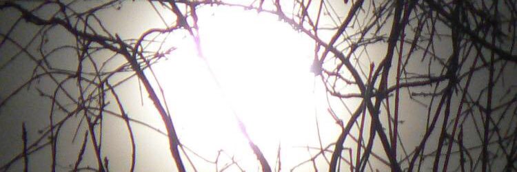 MidnightMalice_'s profile banner image