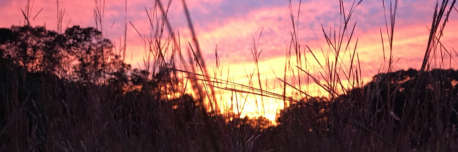 SeanCrowley5's profile banner image