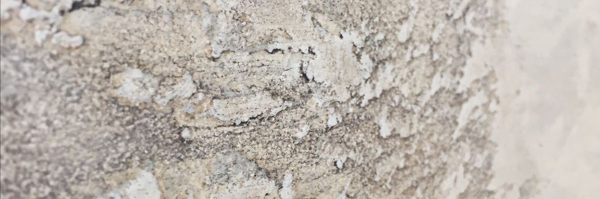 JanelleeSoto's profile banner image
