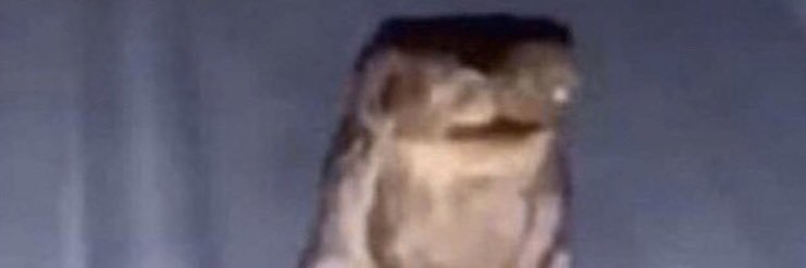 richlerx banner