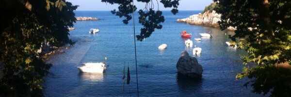 frxnsien Profile Banner