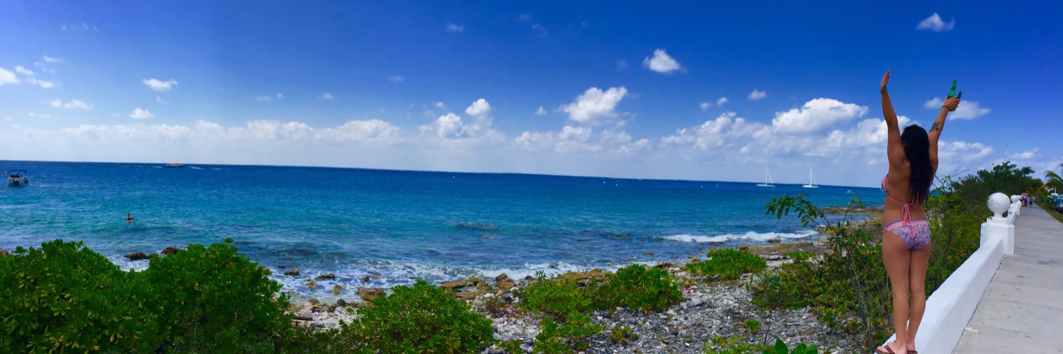 Torimackert's profile banner image
