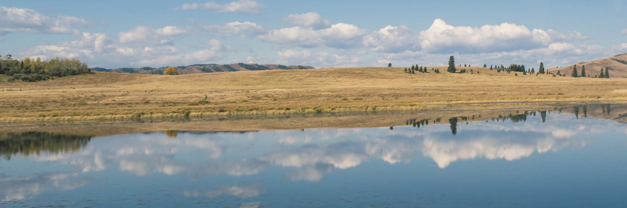 Connect OnFarm banner