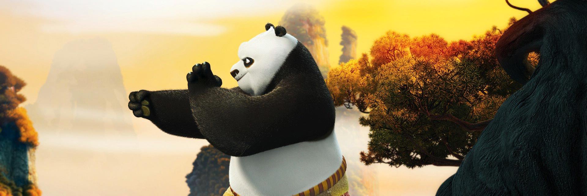 DesiKungFuPanda's profile banner image