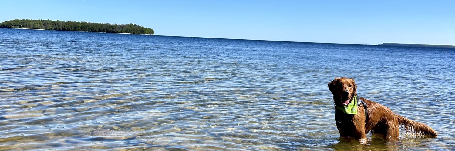 Dominic Clementi banner