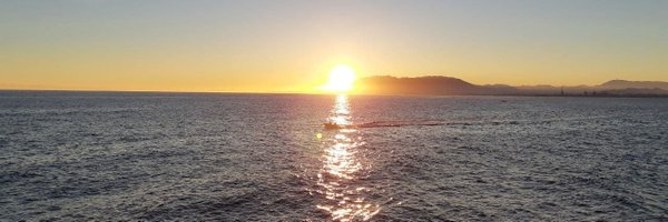 pituskaya Profile Banner