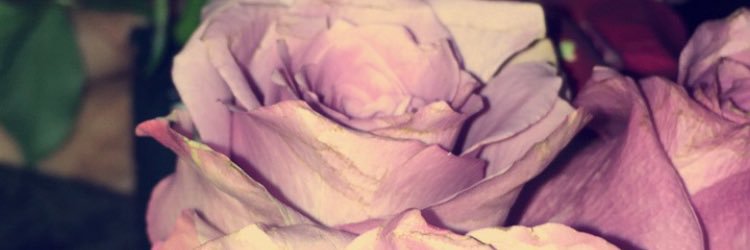 Soomah8's profile banner image