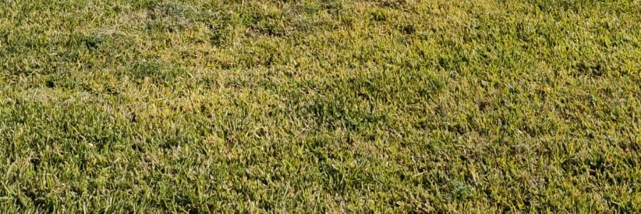 RobertoGaBe97's profile banner image
