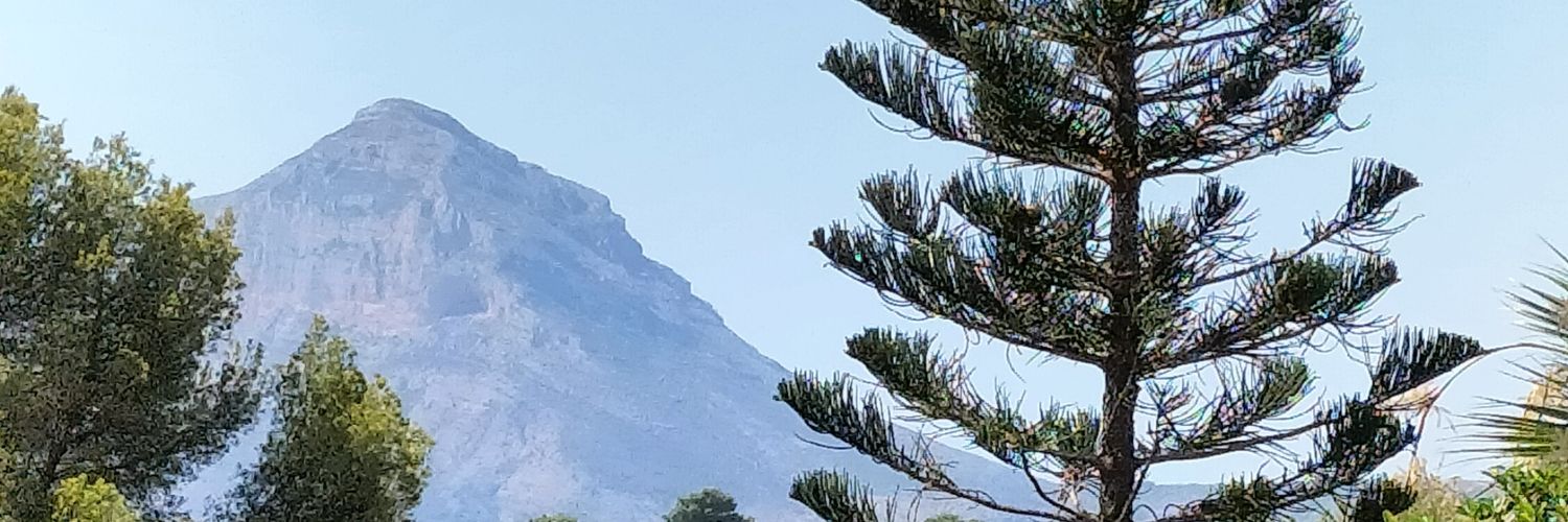 MaribelBra's profile banner image