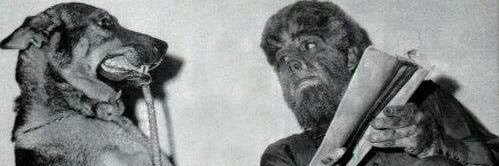 Ted Dougherty banner