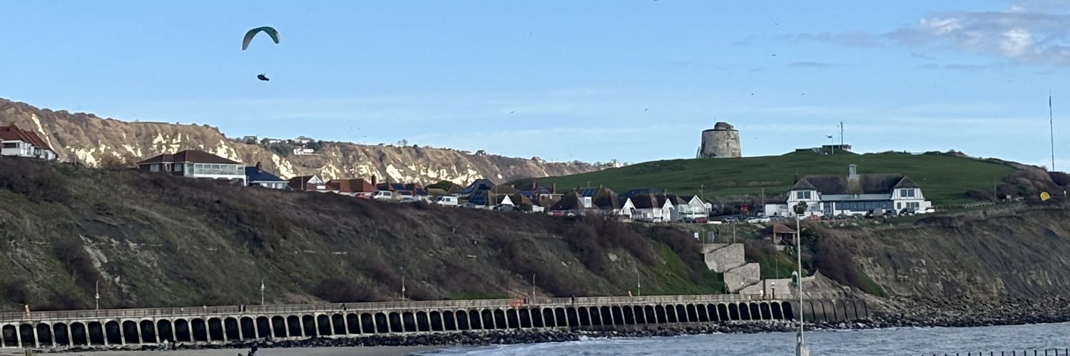 Patricia Young banner