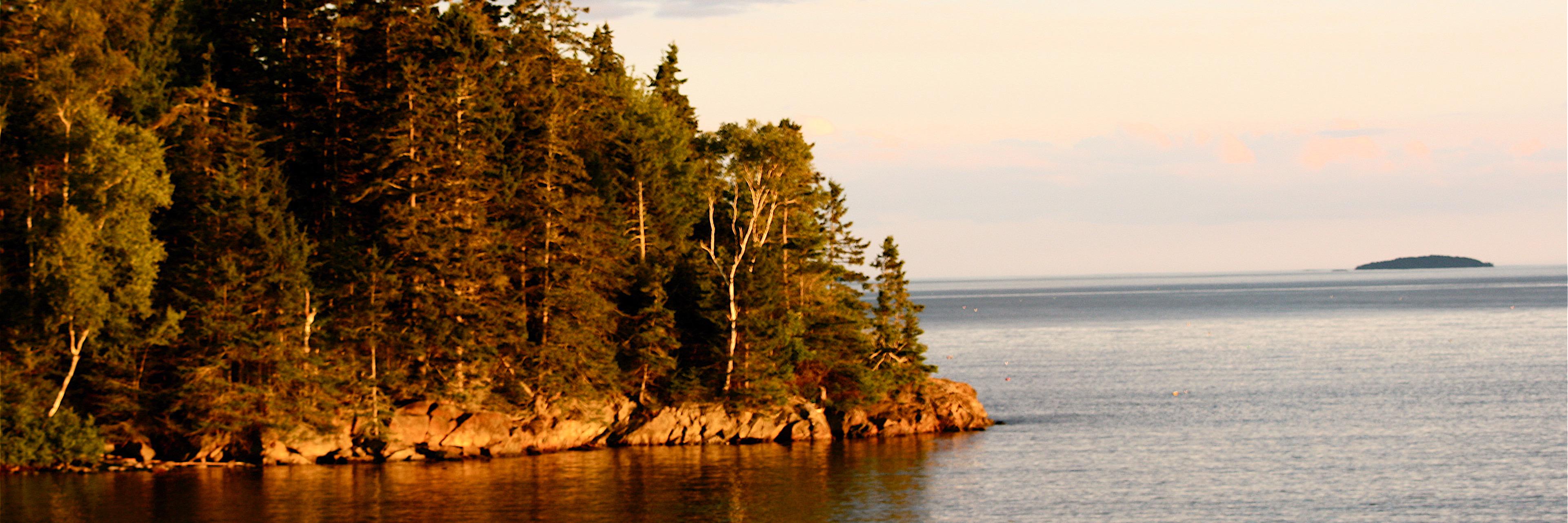 dblundell1's profile banner image