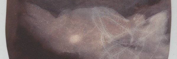 MidEastInEurope Profile Banner