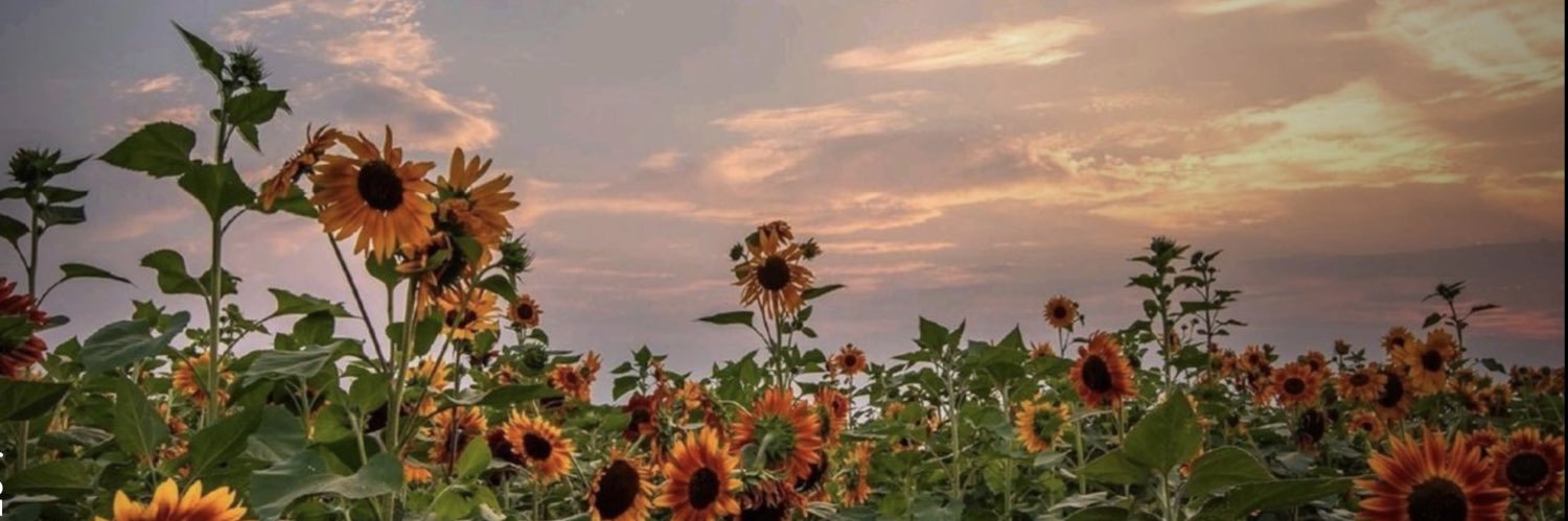 ErinClark2018's profile banner image