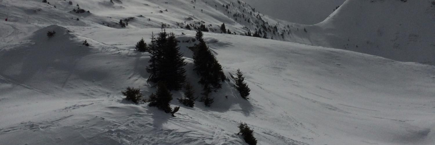 SachaPrince1's profile banner image